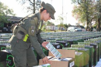 CHACO: Interceptan Camión Con 250.000 Atados De Cigarrillos De Contrabando