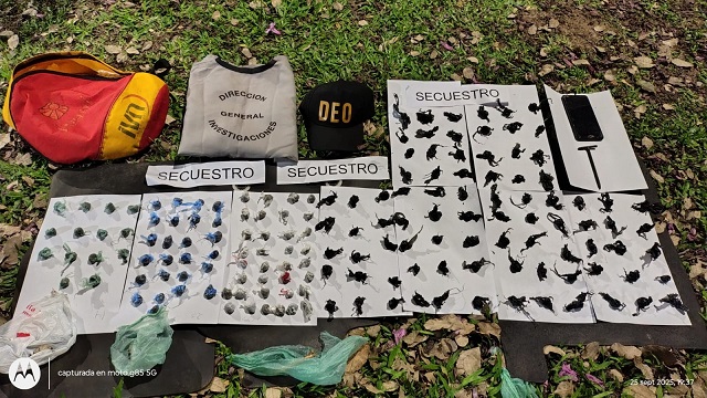 CHACO: Buscaban Pistas Por Un Delito Y Dieron Con Un Dealer: Incautaron Marihuana En Bochitas