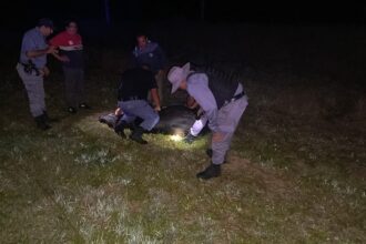 LAS GARCITAS: Detuvo Su Camión Jaula Y Se Le Escaparon Dos Vacas: Fue Ayudado Por La Policia
