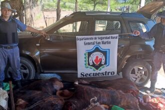 CHACO: Dos Detenidos Por Abigeato Y Resistencia A La Autoridad