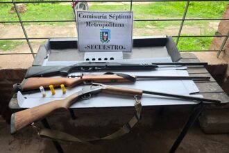 RESISTENCIA: Detenido Por Violencia De Género: Secuestraron Tres Escopetas