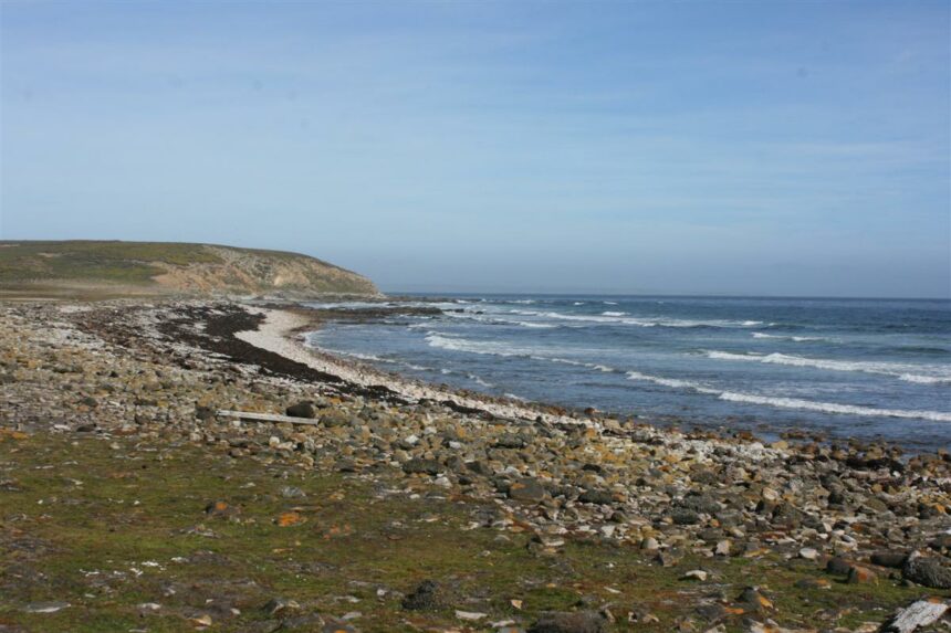 Argentina rechazó “actividades hidrocarburíferas ilegales” en las Islas Malvinas