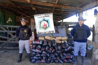 SAN MARTIN: Secuestraron Más De 300 Kilos De Carbón Vegetal Transportados Sin Guía
