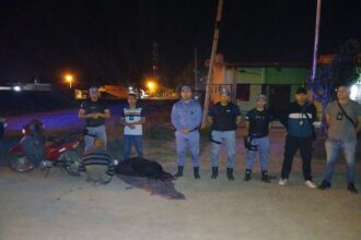 LA LEONESA: Secuestran Un Ternero Y Demoran A Un Hombre Por Supuesto Abigeato