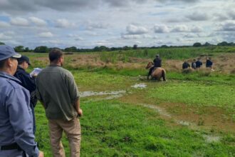 CHACO: Encontraron El Arma Con La Que Habían Asesinado A Un Hombre En Makallé.
