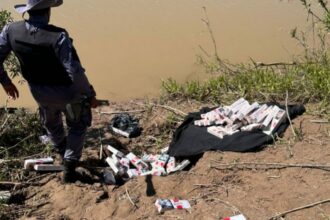 CHACO:  Secuestraron Una Importante Carga De Cigarrillos De Contrabando Y Aprehendieron A Dos Personas