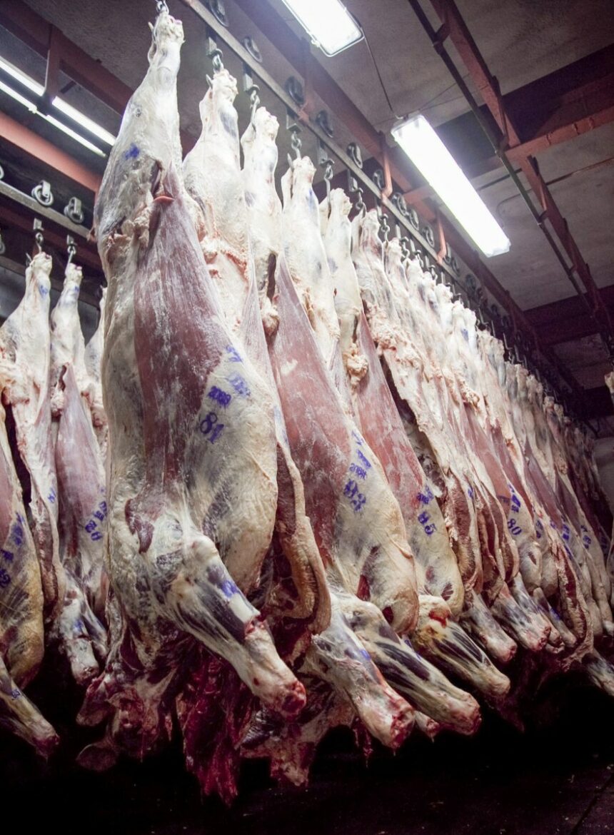 Estados Unidos cuadruplicó la cuota de importación de carne argentina