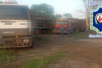 CHACO:  Secuestraron Dos Camiones Con Más De 60 Mil Kilos De Madera Transportada De Forma Irregular En Rodríguez Peña