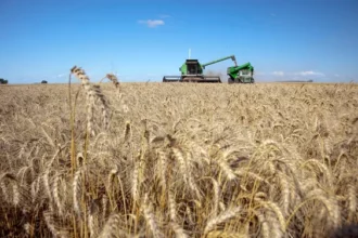 Arrancó la cosecha de trigo y se encamina a una de las mejores campañas de la historia