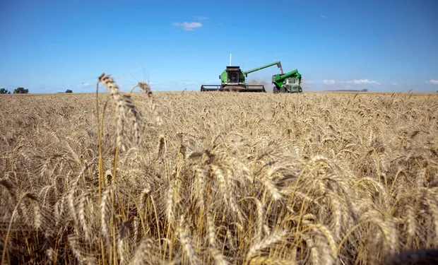 Arrancó la cosecha de trigo y se encamina a una de las mejores campañas de la historia