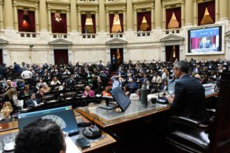 Diputados aprobó la nulidad del decreto que suspendía la ley de Discapacidad