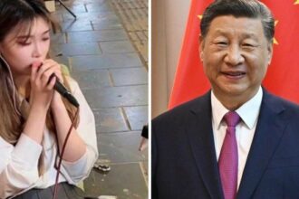 China busca regular la desinformación: los influencers deberán mostrar un título para opinar de temas sensibles en redes sociales