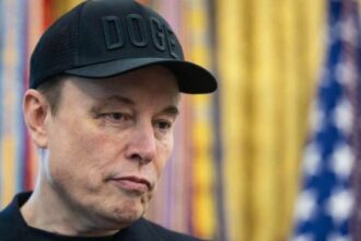 Cómo es Grokipedia, la nueva plataforma de Elon Musk que va a competir con Wikipedia