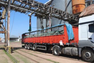 Exportación De Trigo A Bolivia: El Puerto De Barranqueras Concretó Una Nueva Operación Internacional