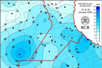 El maíz temprano logró completarse a tiempo en la región núcleo