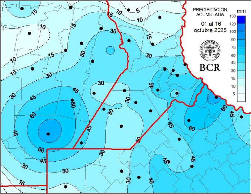 El maíz temprano logró completarse a tiempo en la región núcleo