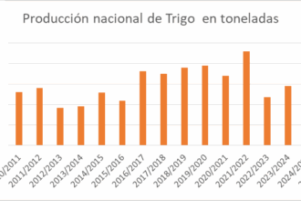 El trigo argentino atraviesa una campaña inédita y apunta a un nuevo récord histórico