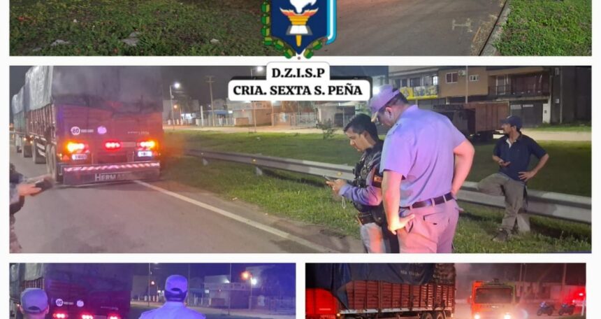 SÁENZ PEÑA: Principio de incendio en camión cargado con carbón vegetal.