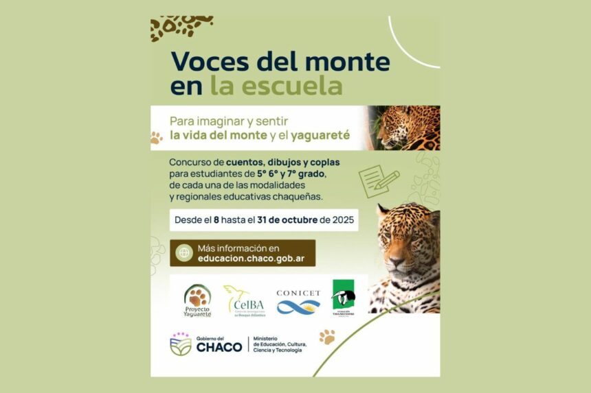 Lanzan Concurso Escolar Para Crear Dibujos, Cuentos Y Coplas Sobre El Yaguareté Y El Monte Chaqueño