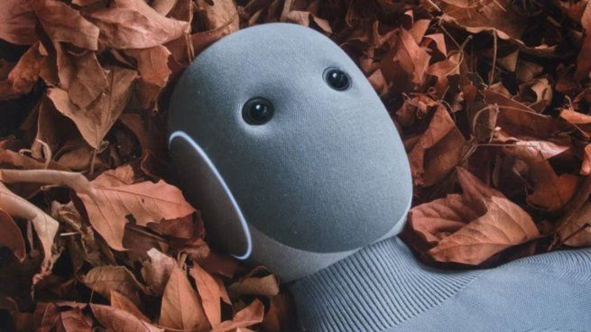 Lanzaron NEO, el primer robot humanoide para tareas del hogar: cómo funciona y qué tareas realiza