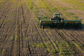 Las expectativas de rendimiento de los cultivos de fina se mantienen por encima de los promedios históricos