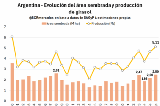 Los cuatro gráficos que explican por qué la producción de girasol podría ser las más alta en 26 años