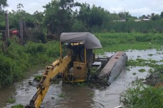 Vialidad Provincial Refuerza Tareas De Limpieza Y Pide No Arrojar Basura En Las Lagunas