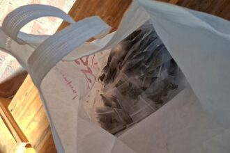 CHACO: Tras Allanamientos Desbaratan Vivero Cannabico Y Bunker: Secuestraron Mas De Un Kilo De Marihuana