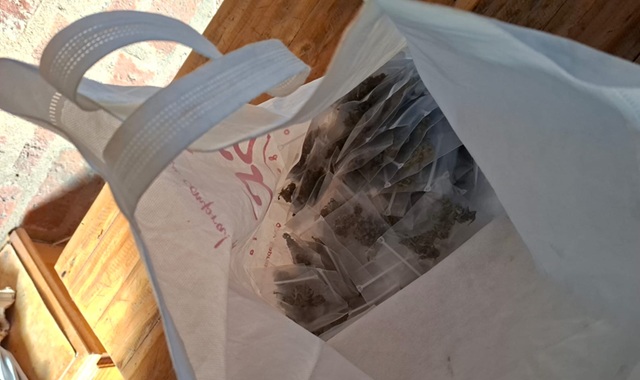 CHACO: Tras Allanamientos Desbaratan Vivero Cannabico Y Bunker: Secuestraron Mas De Un Kilo De Marihuana