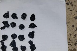 RESISTENCIA: Lo Atraparon Con Estupefacientes En El Domo Del Centenario