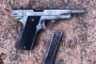 CHACO: En Dos Procedimientos Secuestraron Armas Y Plantas De Marihuana