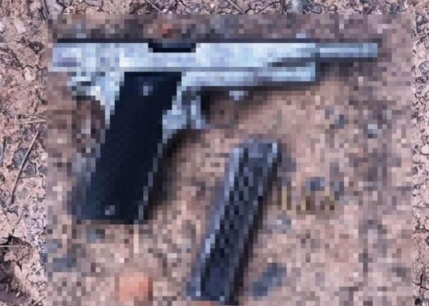 CHACO: En Dos Procedimientos Secuestraron Armas Y Plantas De Marihuana