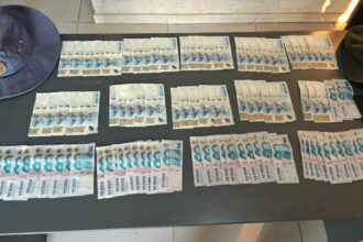 CHACO: Dos Hombres Fueron Detenidos Con Más De Un Millón De Pesos En Una Causa Por Abigeato