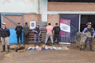 CHACO: Tras Allanamientos Detuvieron A Un Hombre, Secuestraron Un Bovino Y Carne Faenada