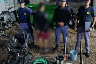 RESISTENCIA: Captado Por Las Cámaras Mientras Intentaba Ingresar A Vehículos Y Locales