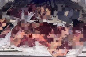 BASAIL: Tres Infractores Fueron Detectados Transportando Carne Sin Control Sanitario En Zona Rural