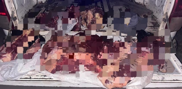 BASAIL: Tres Infractores Fueron Detectados Transportando Carne Sin Control Sanitario En Zona Rural