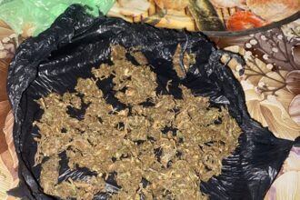 CHACO: Operativo Antidrogas En La Rubita Culmina Con Resultado Positivo