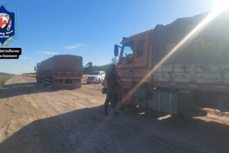 CHACO:  Secuestran Casi Cien Toneladas De Maíz Sin Documentación Válida