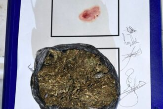 LA TIGRA: Operativo Lince: Interceptaron A Una Pareja Con 50 Gramos De Marihuana