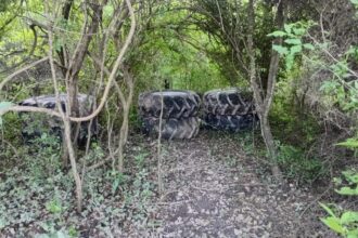 ROCA: Rastrillaron 10 Kilómetros Para Encontrar Bienes Sustraídos A Una Empresa