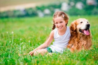 ¿Cómo sería el mundo si los perros hablaran? La IA responde esta gran duda