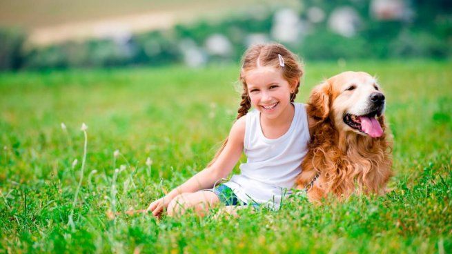 ¿Cómo sería el mundo si los perros hablaran? La IA responde esta gran duda