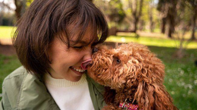 ¿Querés adoptar un perro? La Inteligencia Artificial reveló que raza va mejor con tu personalidad