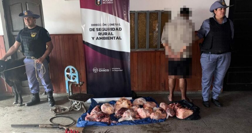 MAKALLÉ: Un Detenido Y Carne Incautada
