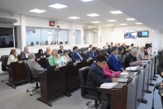 La Legislatura modificó la conformación del Fondo de Alta Complejidad del InSSSeP