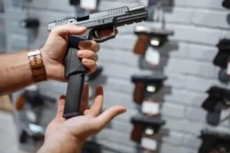 El Gobierno reglamentó la tenencia de armas semiautomáticas para legítimos usuarios