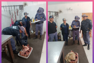 LAS GARCITAS: Decomisan 25 Kilos De Carne No Apta Para El Consumo Humano