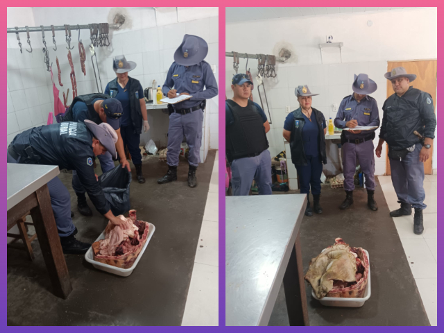 LAS GARCITAS: Decomisan 25 Kilos De Carne No Apta Para El Consumo Humano