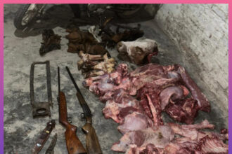 CHACO: Secuestraron Carne Faenada Y Armas